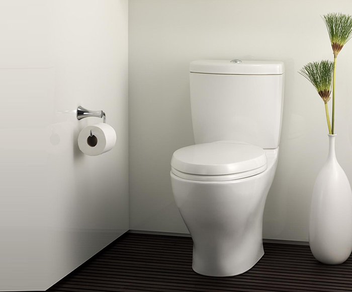 Phối Cảnh Bàn Cầu 2 Khối TOTO CS818DT8