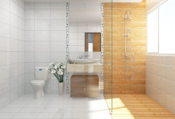 Phối cảnh Gạch Đồng Tâm 3045 ROCA001