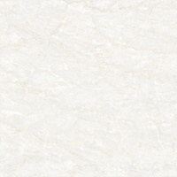 Hình ảnh gạch đồng tâm 80x80 FANSIPAN 002-FP-H+