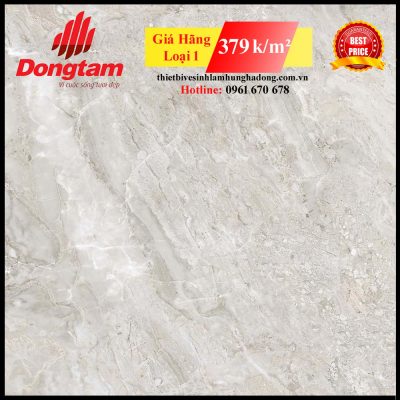Gạch Đồng Tâm 8080 TRUONGSON003-FP-H+