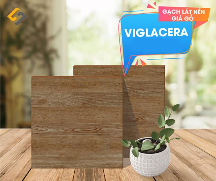 Gạch giả gỗ Viglacera kích thước 60x60cm