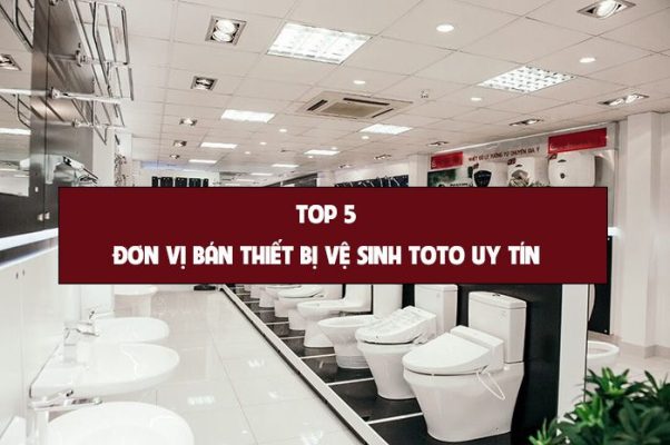 Mua Thiết bị vệ sinh ToTo ở Hà Nội uy tín với top 5 đơn vị